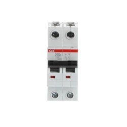 S202-C100 Interruptor automatico-2P-C-100A Ref:2CDS252001R0824 (i2-2457)