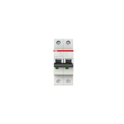 S202-K1 Interruptor Automatico-2P-K-1A Ref:2CDS252001R0217 (i2)